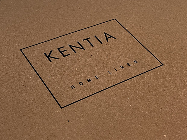 Project big kentia 2