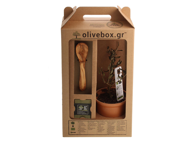 Project big olive box 01